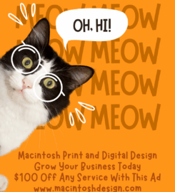 Macintosh Print And Design