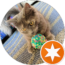 Beng Lert profile picture