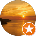 yan xie profile picture