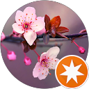 Helen Nguyen profile picture