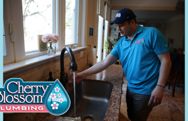 Cherry Blossom Plumbing